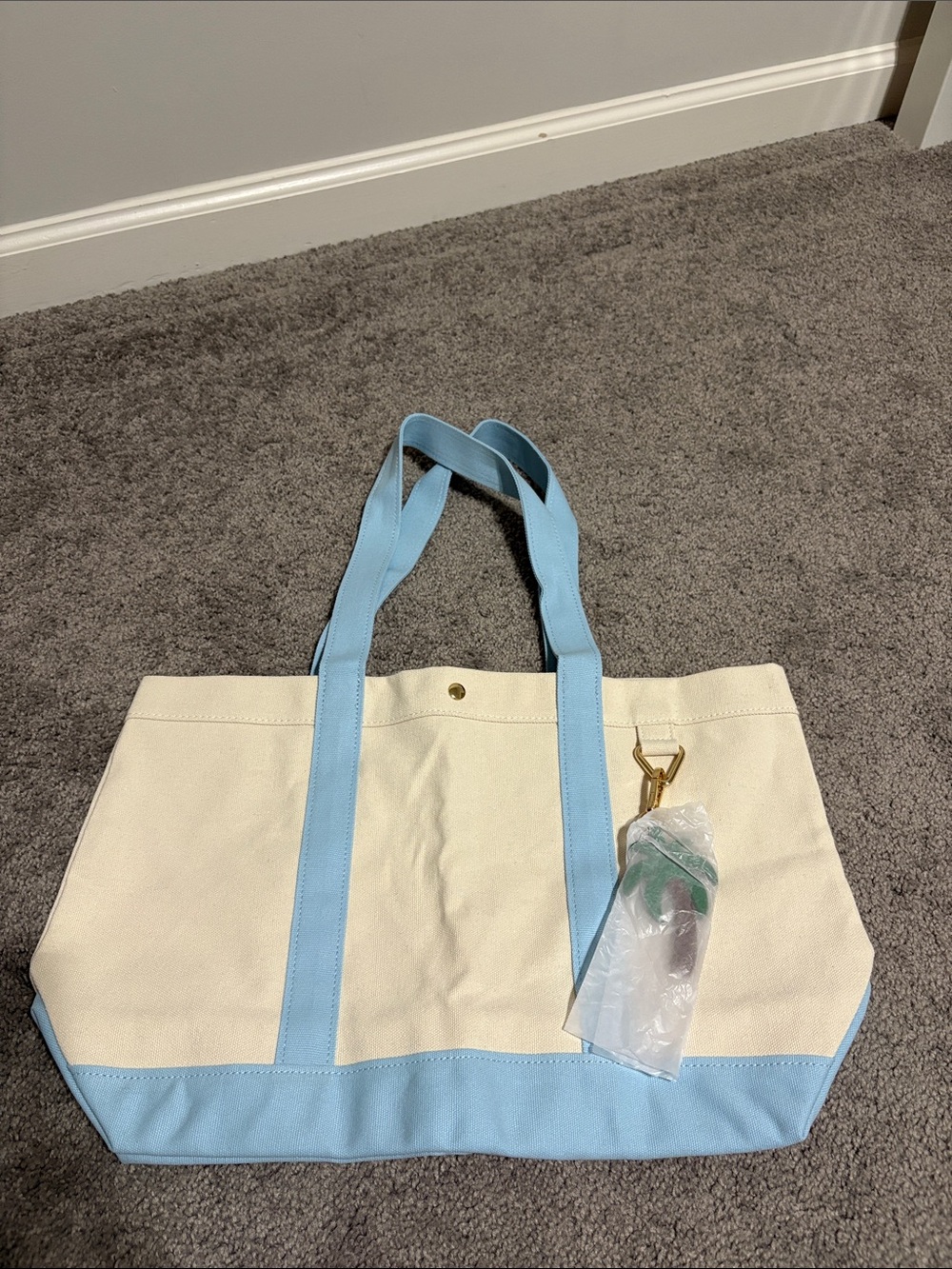 BaubleBar large canvas tote